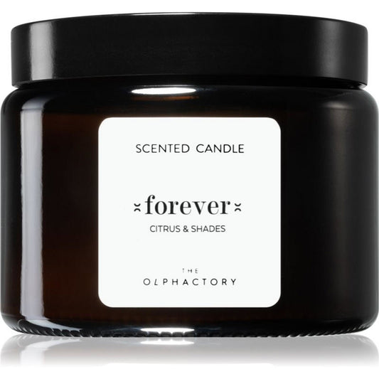 The Olphactory, Forever Citrus & Shades, Scented Candle, 360 g